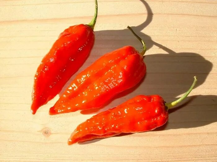 Название самого острого перца. Перец острый Naga Jolokia Нага Джолокия. Naga Morich перец. Dorset Naga перец. Перец Bhut Jolokia Chocolate.