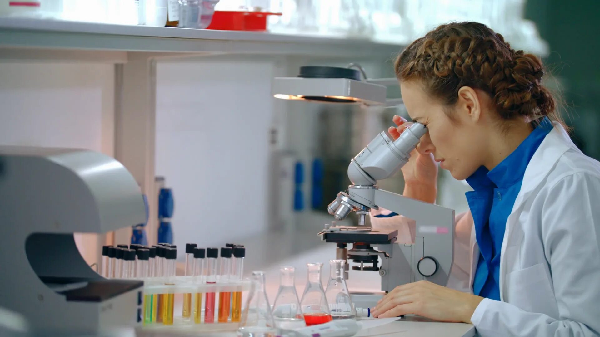 Term lab