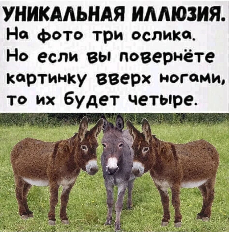 Сейчас перевернешь