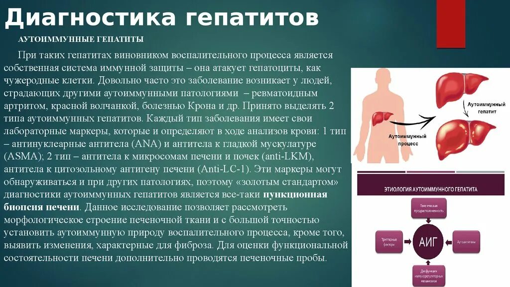 Гепатит б название. Диагностики аутоиммунный гепатит. Иммунопатогенез аутоиммунного гепатита. Диагностика гепатита а. Аутоиммунный гепатит патогенез.