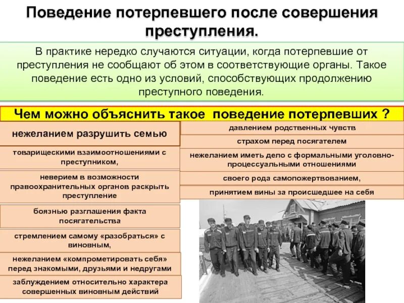 Адрес потерпевшего. Роль потерпевшего. Поведение жертвы. Виды поведения потерпевших.