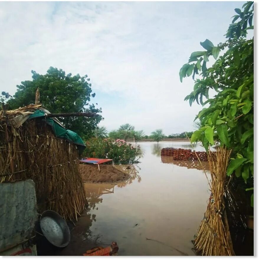 После потопа after the flood