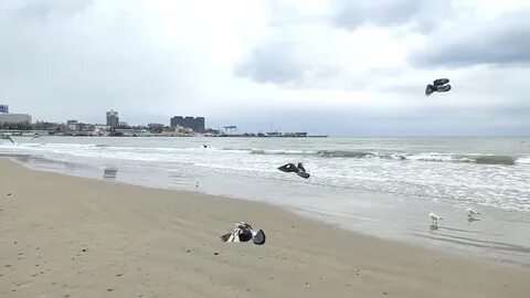 Центральный пляж видео