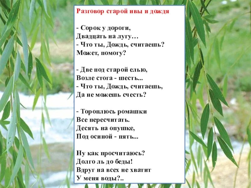 Разговор старой. Разговор старой ивы с дождем. Разговор старой ивы с дождем Токмаковой. Разговор старой ивы и дождя Ирина Токмакова. Разговор старой ивы с дождем Токмаковой стихи.