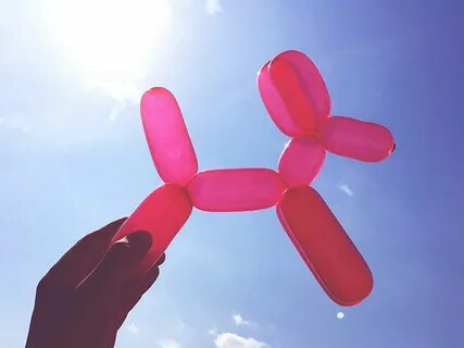 Balloon dog