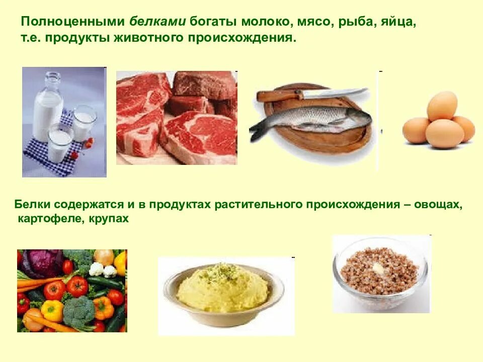 Какими питательными веществами богаты продукты каждой группы. Продукты содержащие белки растительного происхождения. продукты животного происхождения. пища растительного и животного происхождения. полноценные белки растительного происхождения.