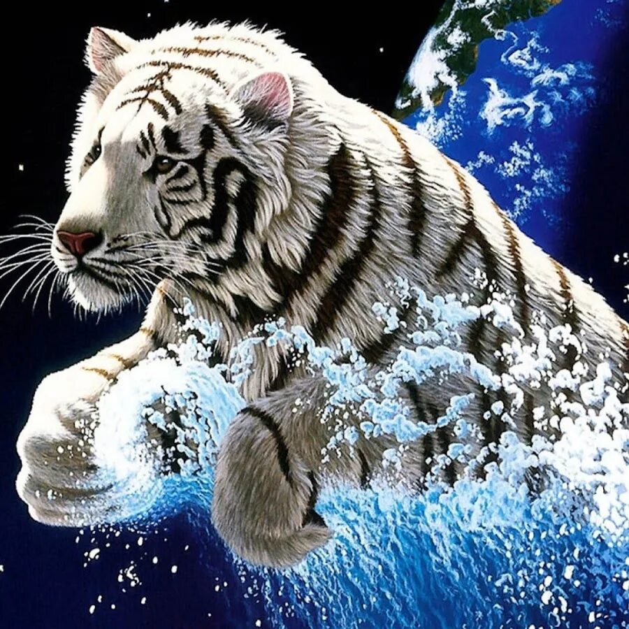 Tiger 2025