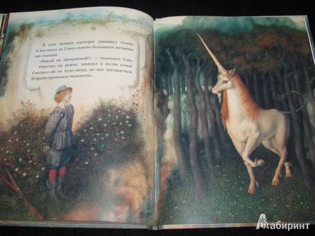 Сказка "единорожки". Сина и ло единорог. Книга для раскрашивания color quest. Сказочный единорог для детей. Сказка про единорожку.