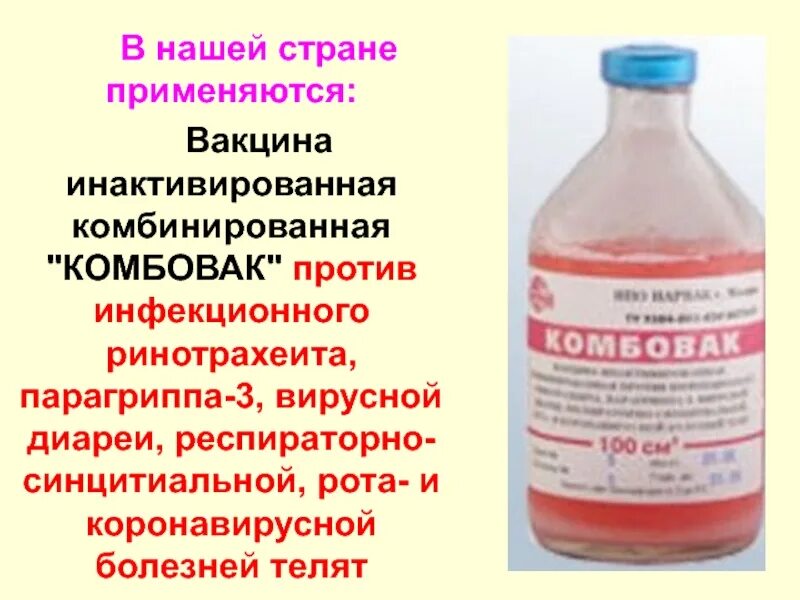 Вакцина комбовак. Вакцина комбовак для телят. Вакцина против инфекционного ринотрахеита КРС. Вакцина против парагриппа КРС. Вакцина против вирусной диареи КРС.