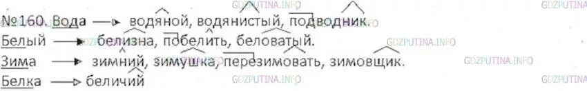 Прочитайте слова в правой колонке. Русский язык 6 класс упр 160. Родной русский язык 6 класс упр 160. Упр 160 по русскому языку 5 класс ладыженская. Русский язык 8 класс упр 160.