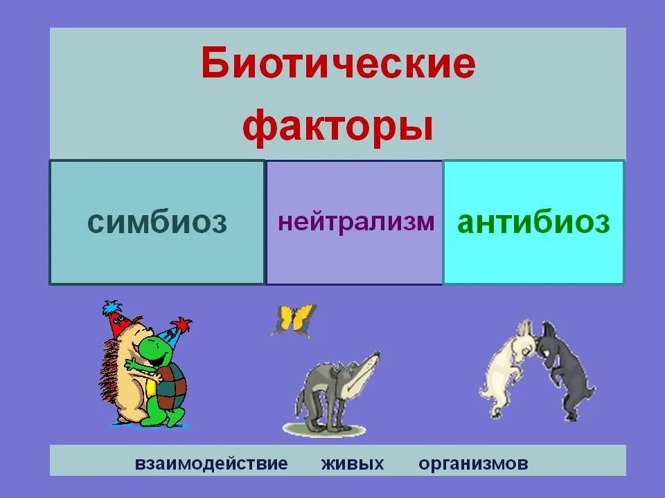 Биотический фактор природной среды. Биотические факторы живой природы. Биотические факторы. Биотические факторы презентация. Биотические факторы среды.