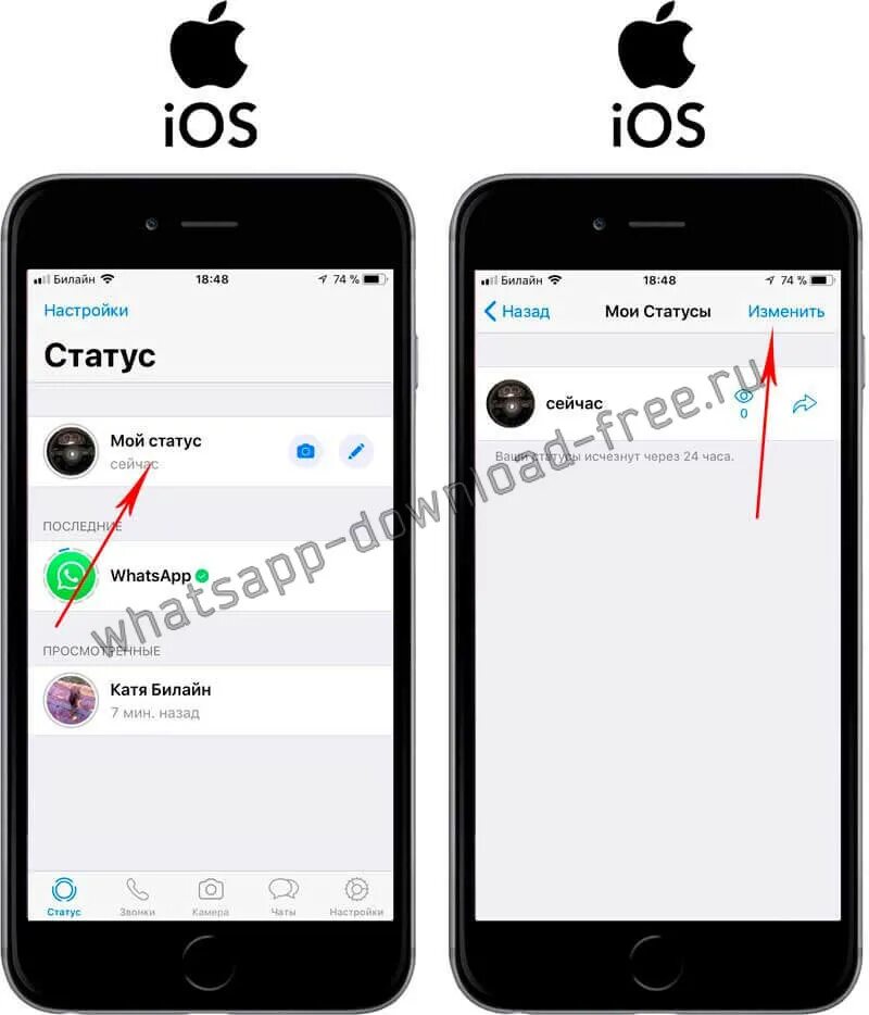 Как сохранить статус в whatsapp другого человека. Статус в ватсап на айфоне. как поставить статус в ватсапе на айфоне. статусы whatsapp на iphone. как сделать статус в ватсапе на айфоне.