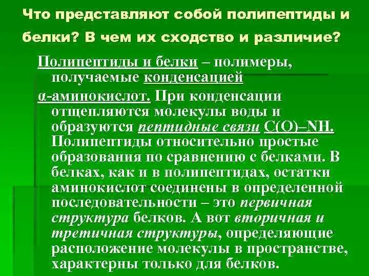 Полипептид это белок. Белок и полипептид разница. Белки полипептиды. Отличие белков от пептидов. Белки и пептиды сходства и различия.