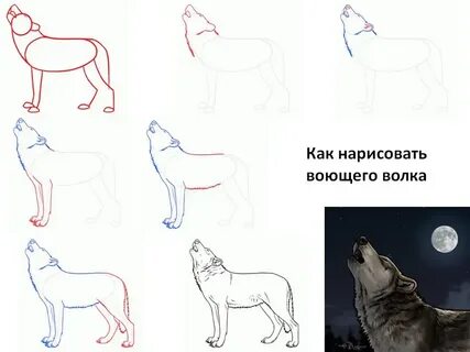 Как нарисовать волка 2 класс