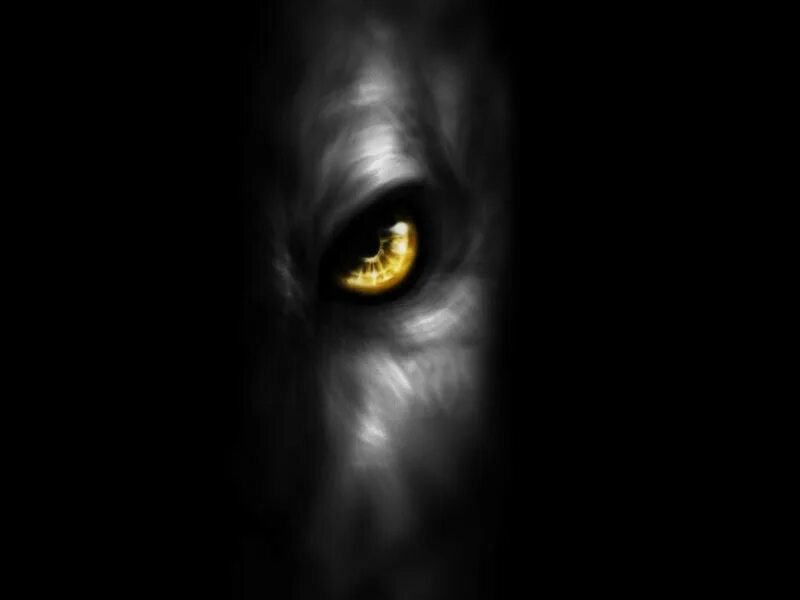 Глаза волка ночью. Глаз волка. Волчьи глаза в темноте. Глаза из Темноты. Глаза в темноте.