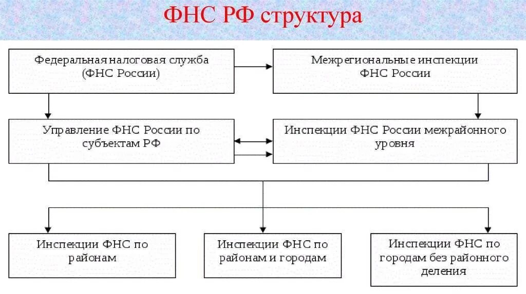 Структура налоговой службы РФ схема. Структура налоговых органов РФ схема. Структура управления ИФНС России. Организационная структура ФНС России.