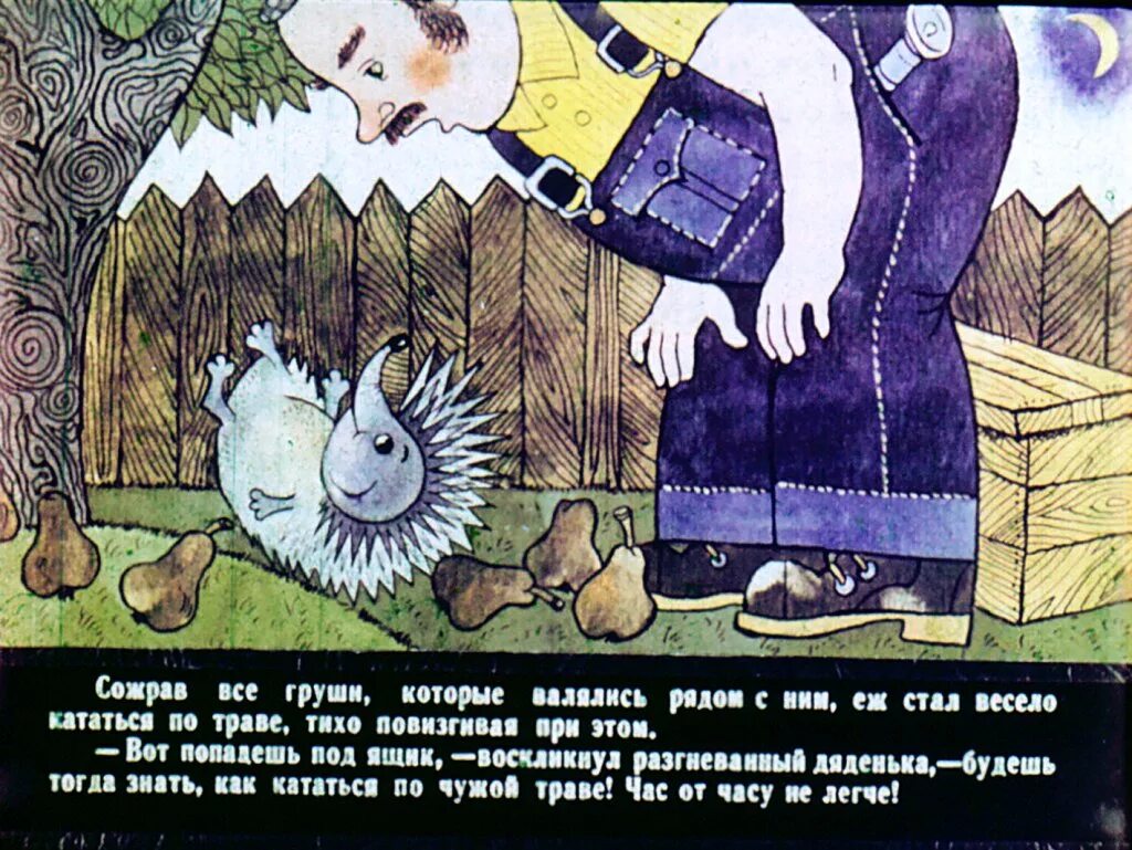 Верный еж. Верный еж