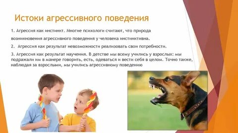 Методы коррекции поведения собак