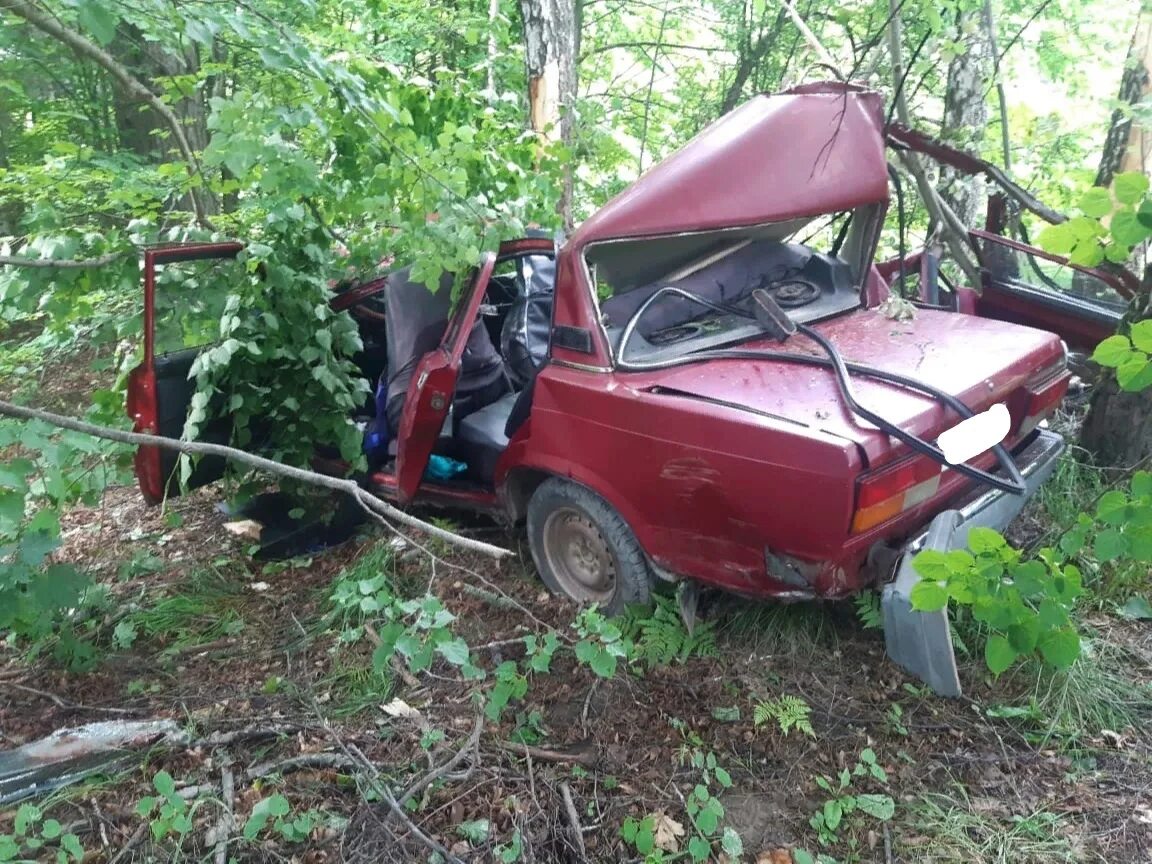 Погода в шаровичах. ДТП В Рогнединском районе Брянской области. Авария в Рогнедино Брянской области.