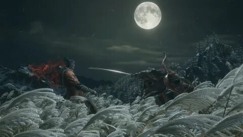 Sekiro shadows of twice
