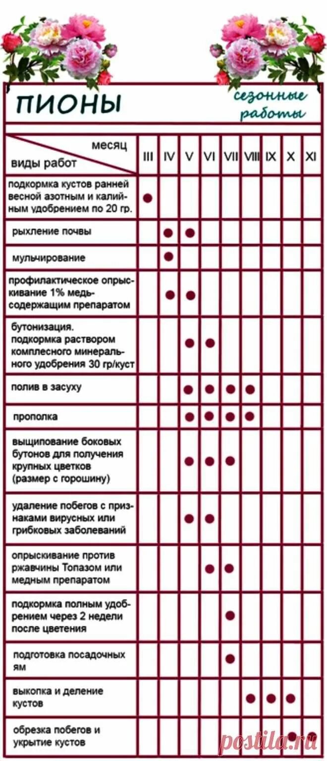 Можно ли в период цветения. Таблица внесения удобрений для роз. Таблица подкормок цветов. Таблица подкормки цветов удобрениями по месяцам. Пионы сроки цветения таблица.