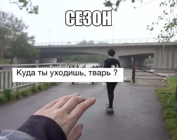 Куда тварь. Где ты принц на белом коне. Куда тварь. Принц на белом коне где тварь. Куда тварь.