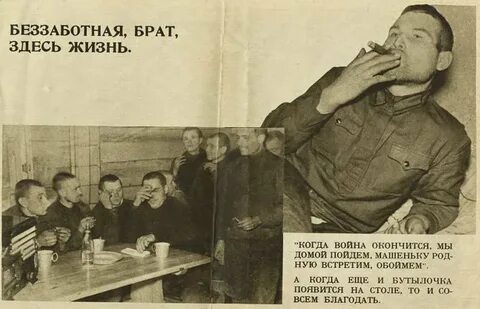 Здесь брат
