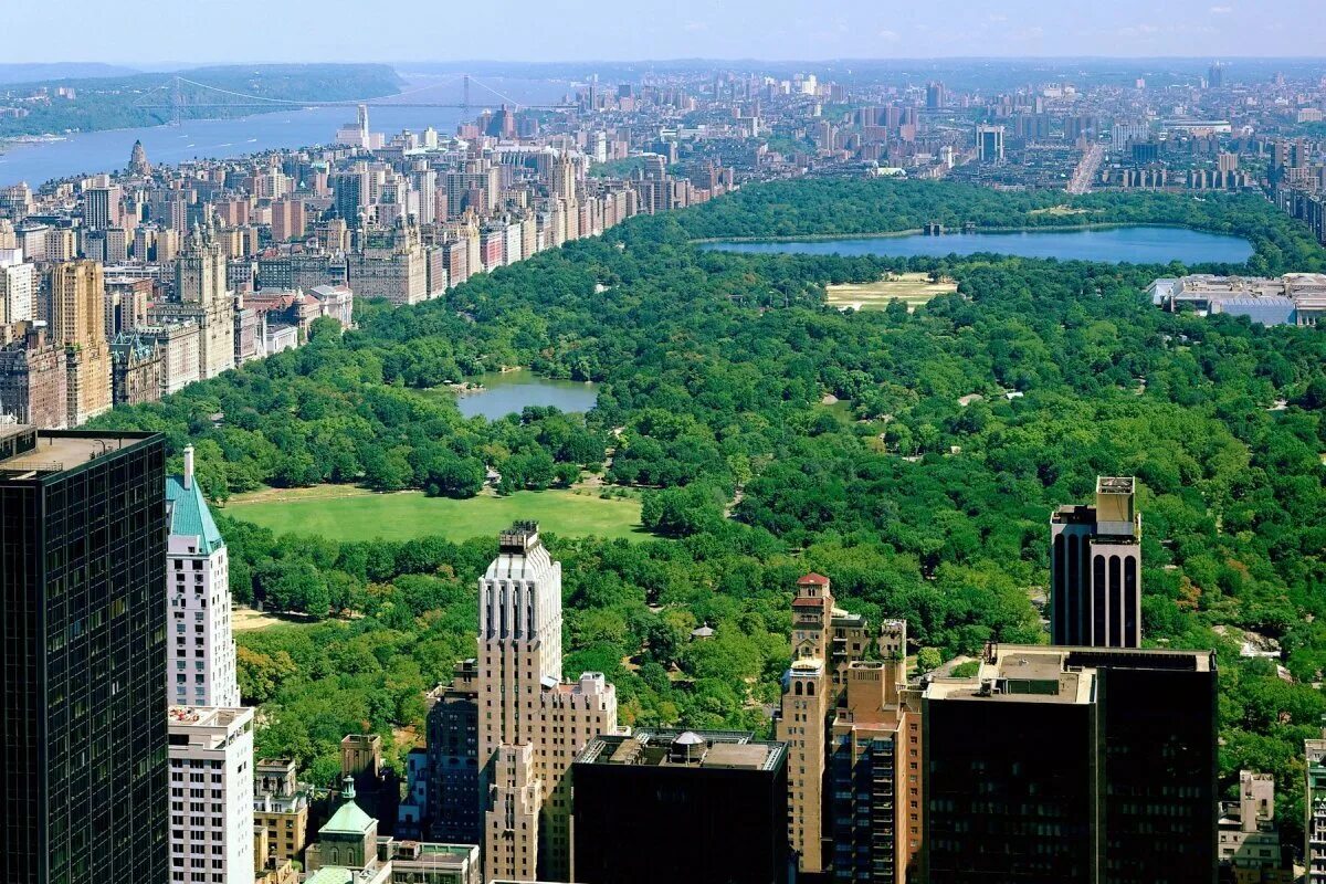 Манхэттен в нью йорке центральный. Нью-йорк манхэттен центральный парк. Центральный парк манхэттен. Грин парк нью йорк. Central park нью йорк.
