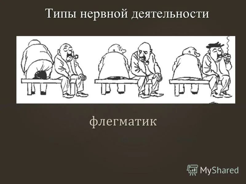 типы высшей нервной деятельности флегматик. типы высшей нервной деятельности флегматик. типы высшей нервной деятельности флегматик. типы высшей нервной деятельности флегматик. типы высшей нервной деятельности флегматик.