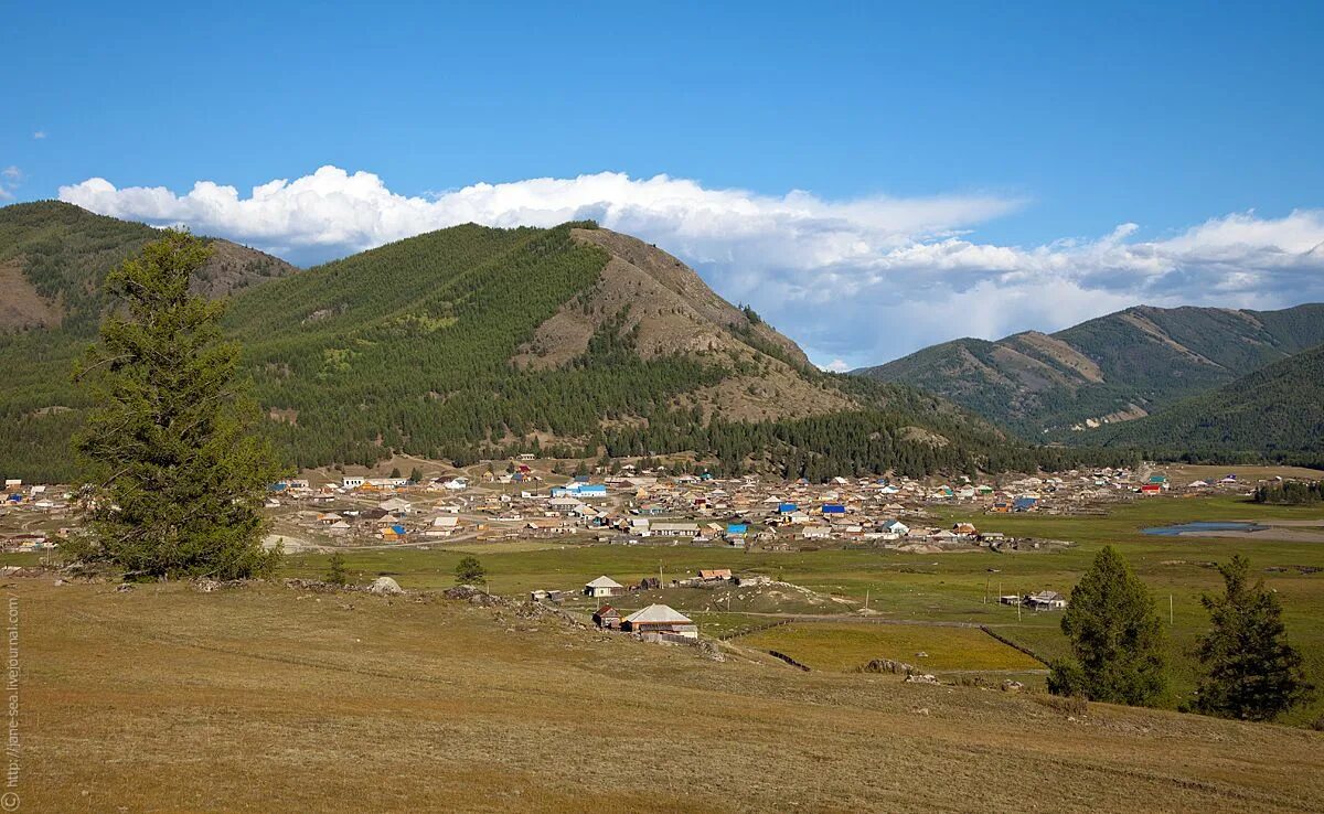 Рп5 республика алтай. Село Джазатор (беляши). Джазатор горный Алтай. Джазатор горный Алтай деревня. Джазатор Кош Агач.