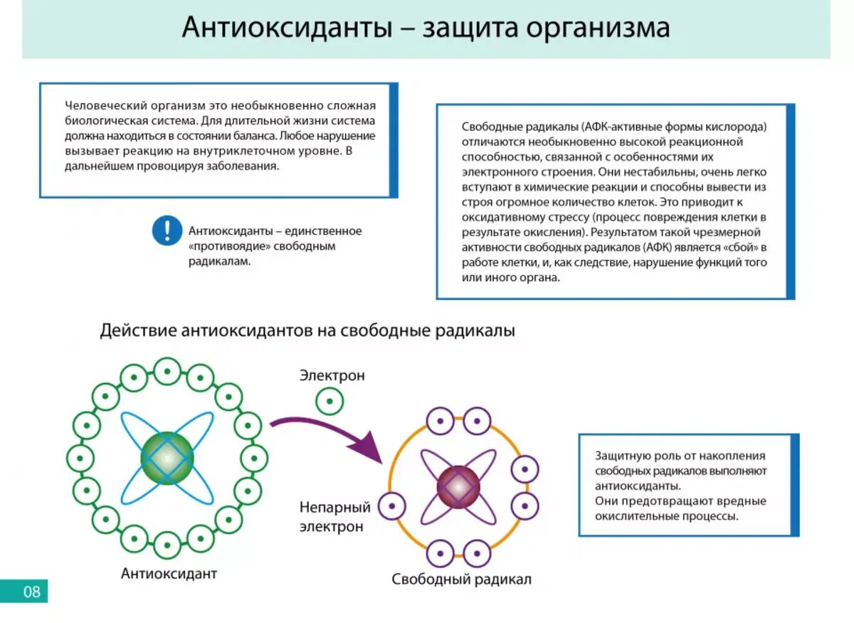 Молекулы доноры. Механизм действия антиоксидантов на свободные радикалы. Схема действия антиоксидантов. Вещества защищающие клетку от действия свободных радикалов. Антиоксидантная защита схема биохимия.