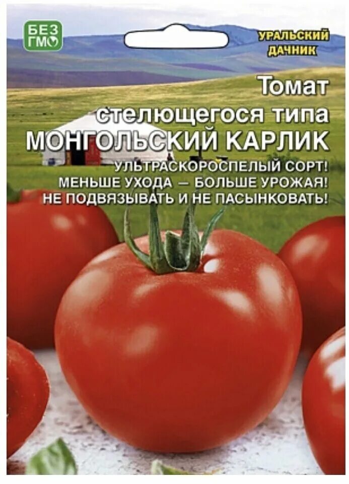 Помидоры сорт кибиц. Сорт помидор затейник. Томат пинк лорд f1. Томат f1 затейник. Сорт томата чибис.