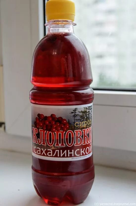 Клоповка настойка. Сироп клоповки сахалинской. красника клоповка. сироп красники сахалинской. настойка клоповка сахалинская.