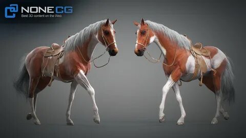 3d animation horse