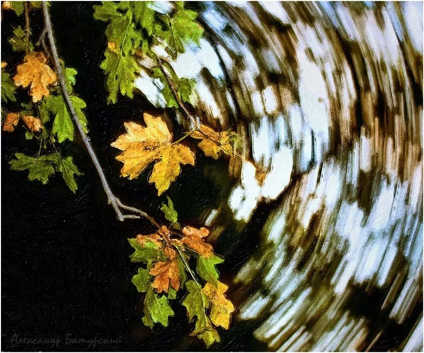 Ветер дувший с моря все время усиливался. Ветер дувший с моря всё время усиливался причастный оборот. С деревьев закружилась в вихре сорванная листва. Осенний вихрь. Русский язык 7 класс упражнение 89.