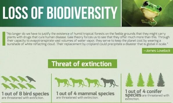 Массовое вымирание животных. Loss of biodiversity. Reduction of species biodiversity. Causes of bird extinction. Презентация threats to species.