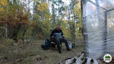 Лесной строитель дзен