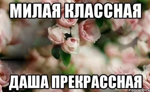 Про дашеньку