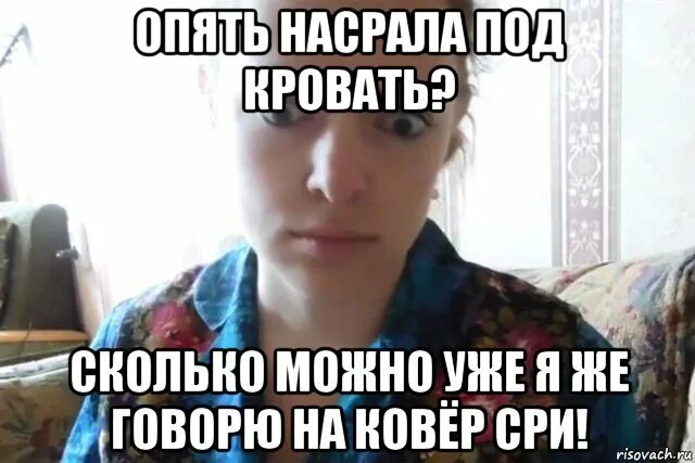 Он сел на постели долго таращил. Посрать под кровать. Опять накакали картинка. Русские насрали на ковер. Мемы про скайп.