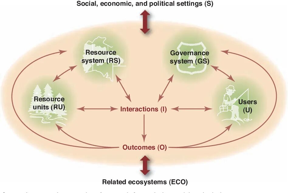 Interaction system. Ecological system. social and ecological issues картинки. socialism ecology. трактовка терминов «environmental economics» и «ecological economics»..