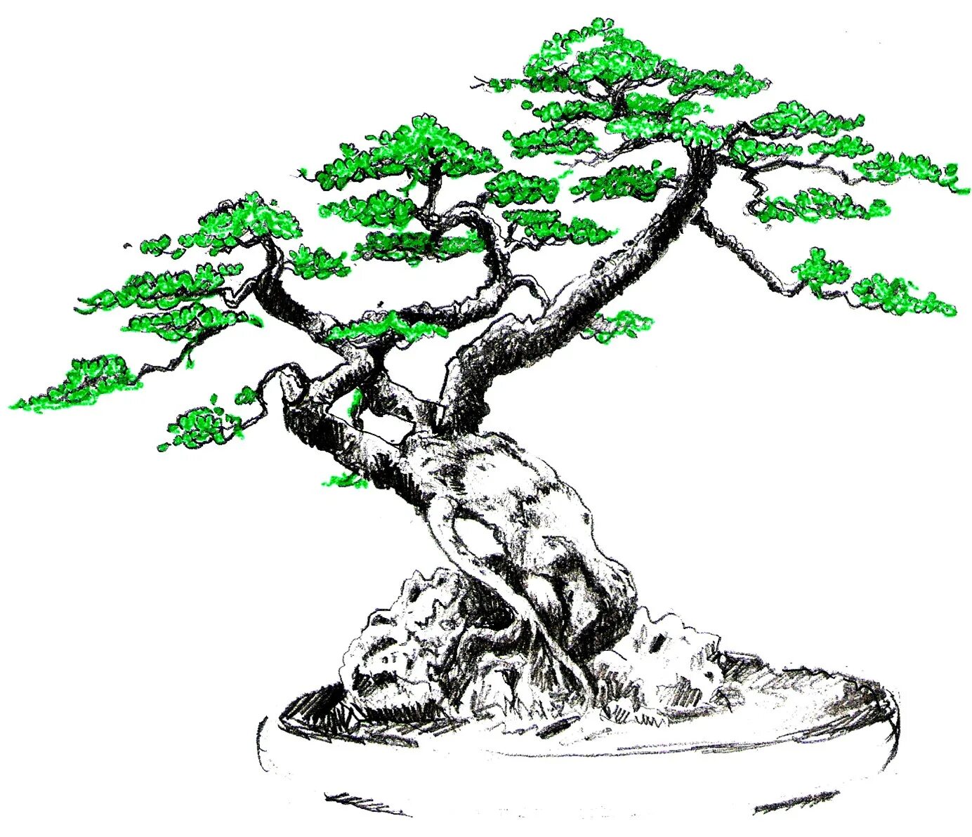 Рисунки юнии косминской. Рисунки юнии собачество. Окончание срока картинки нарисованные. Рисунки юнии косминской. Рисунки юнии собачество.