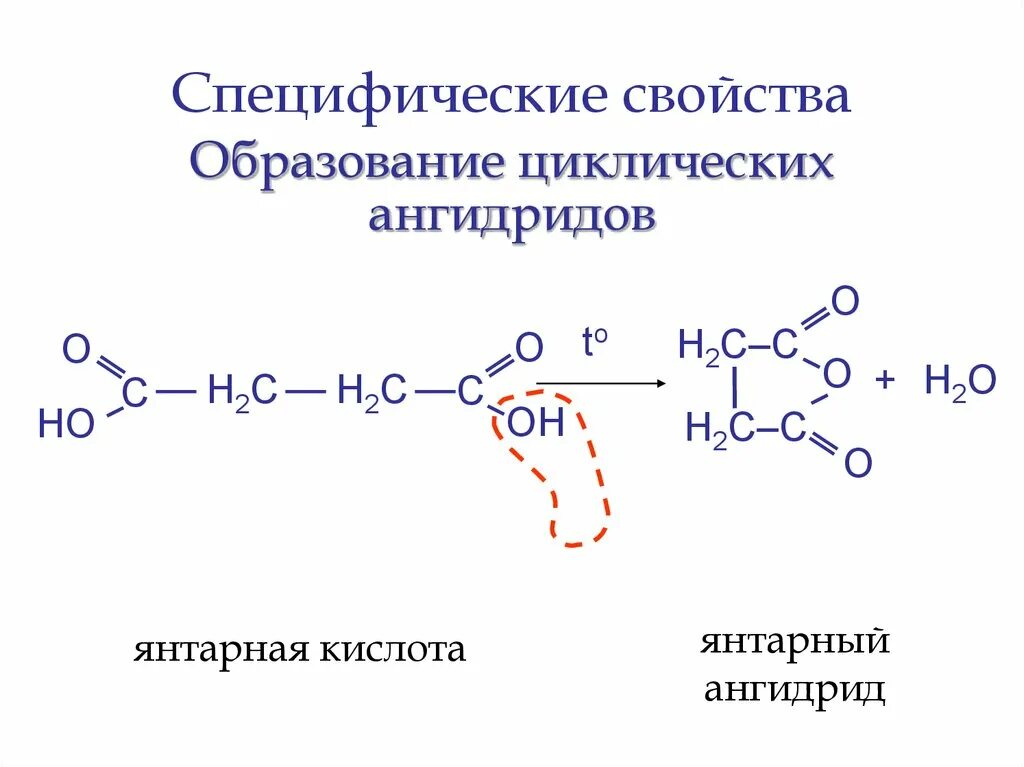 Образование циклических ангидридов дикарбоновых кислот. Янтарный ангидрид бутандиовой кислоты. Янтарная кислота из малеинового ангидрида. Циклический ангидрид янтарной кислоты.