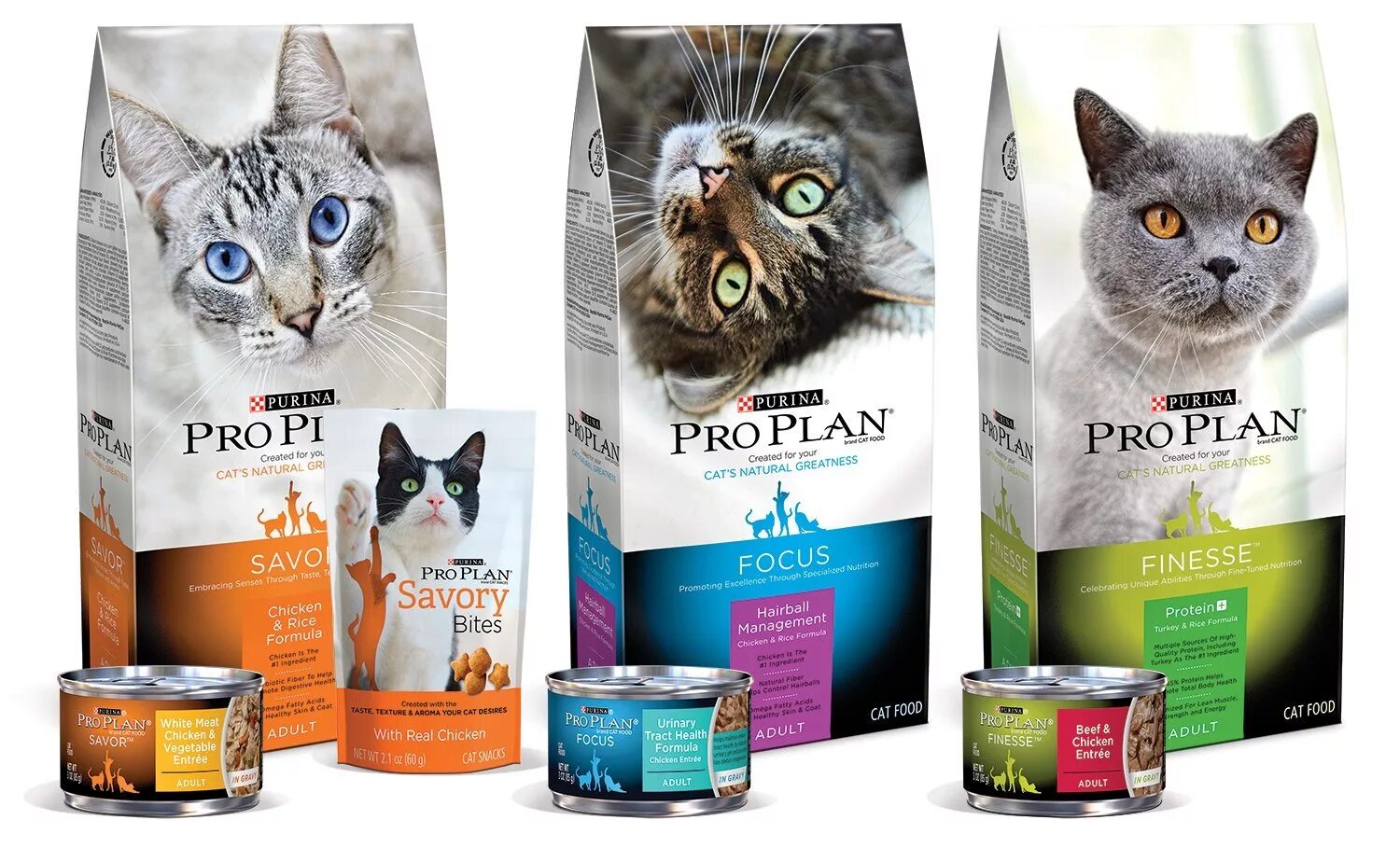 Purina Pro Plan корм Purina Pro Plan. Корма для кошек Пурина Проплан. Корма для кошек влажный Проплан Пурина. Проплан сухой корм для кошек ассортимент. Какой сухой корм самый лучший для кошек