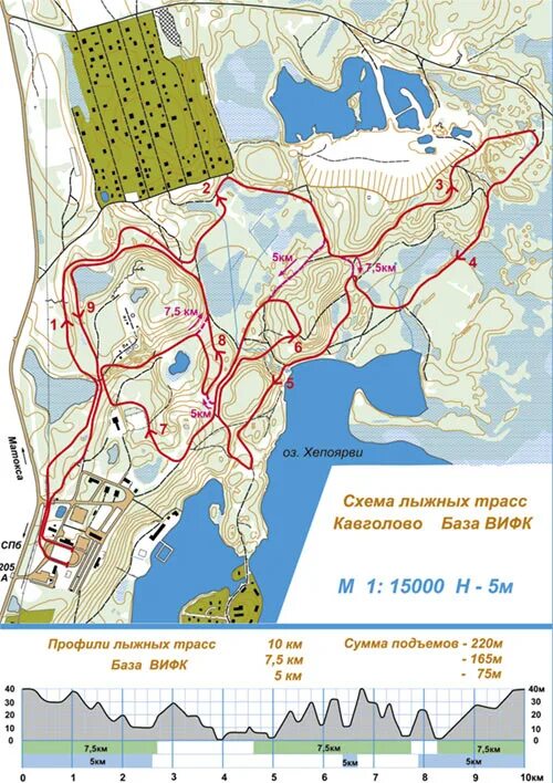 Орехово северное сайт. Схема лыжных трасс в Токсово. Лыжные трассы Кавголово схема. Схема лыжных трасс в Кавголово. ВИФК Токсово лыжная трасса.