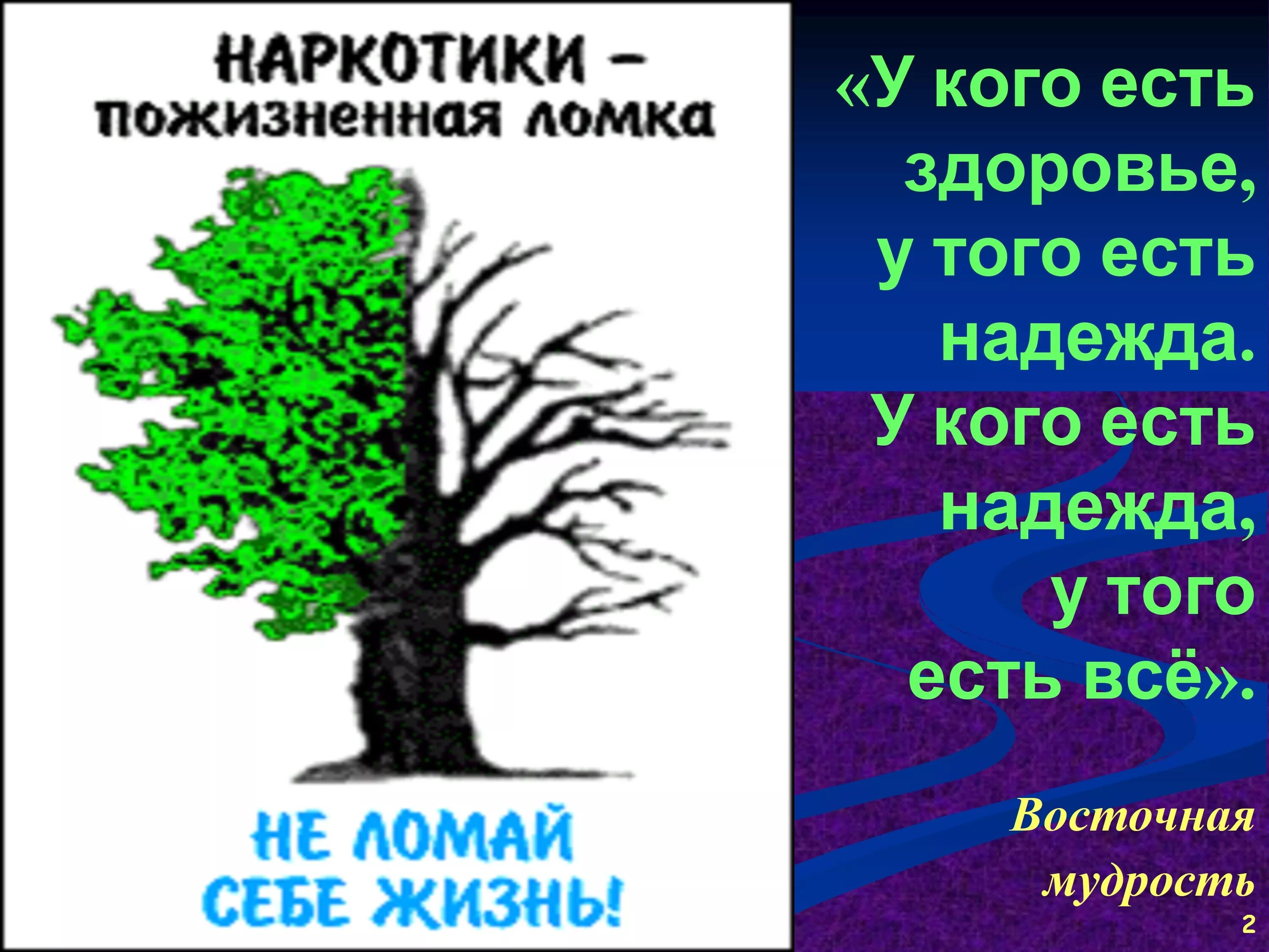 Презентация без наркотиков. Презентация против наркотиков. Наркотики для начальной школы. Профилактика наркомании презентация. Право на жизнь без наркотиков