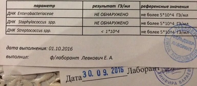 Норма стрептококков в мазке из зева. Стрептококки в мазке у женщин норма показатели. стрептококк в мазке из горла показатели нормы. стрептококка anhaemolyticus норма в мазке из зева. стрептококк в мазке у мужчин норма.