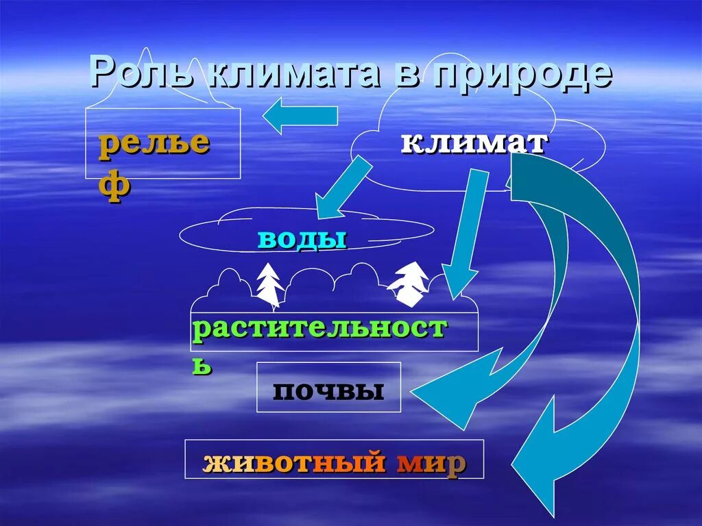 Роль природно климатического. Роль климата. Климат водной растительности. Климатообразующие факторы. Картинки по теме климат.