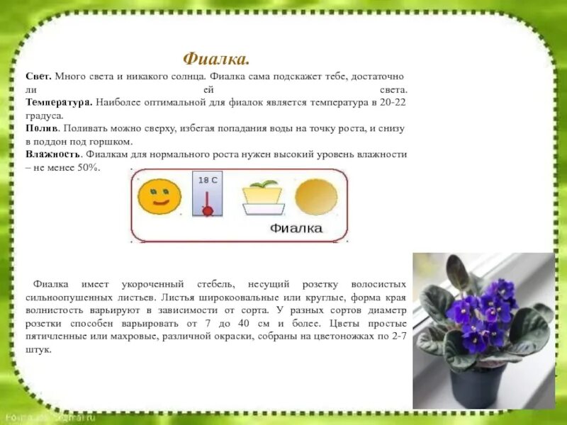 Маркировка цветов в доу