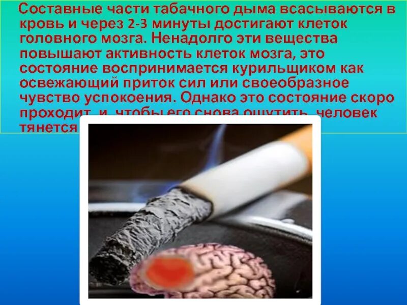 Составные табачного дыма. Влияние табака на организм человека. влияние табачного дыма на здоровье. составные части табачного дыма. влияние пассивного курения на организм.