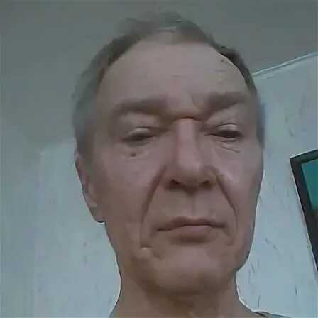 Петухи владимира